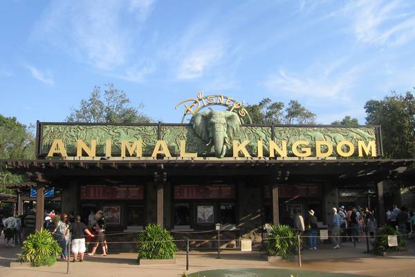 Animal Kingdom - Orlando - Florida - Doets Reizen