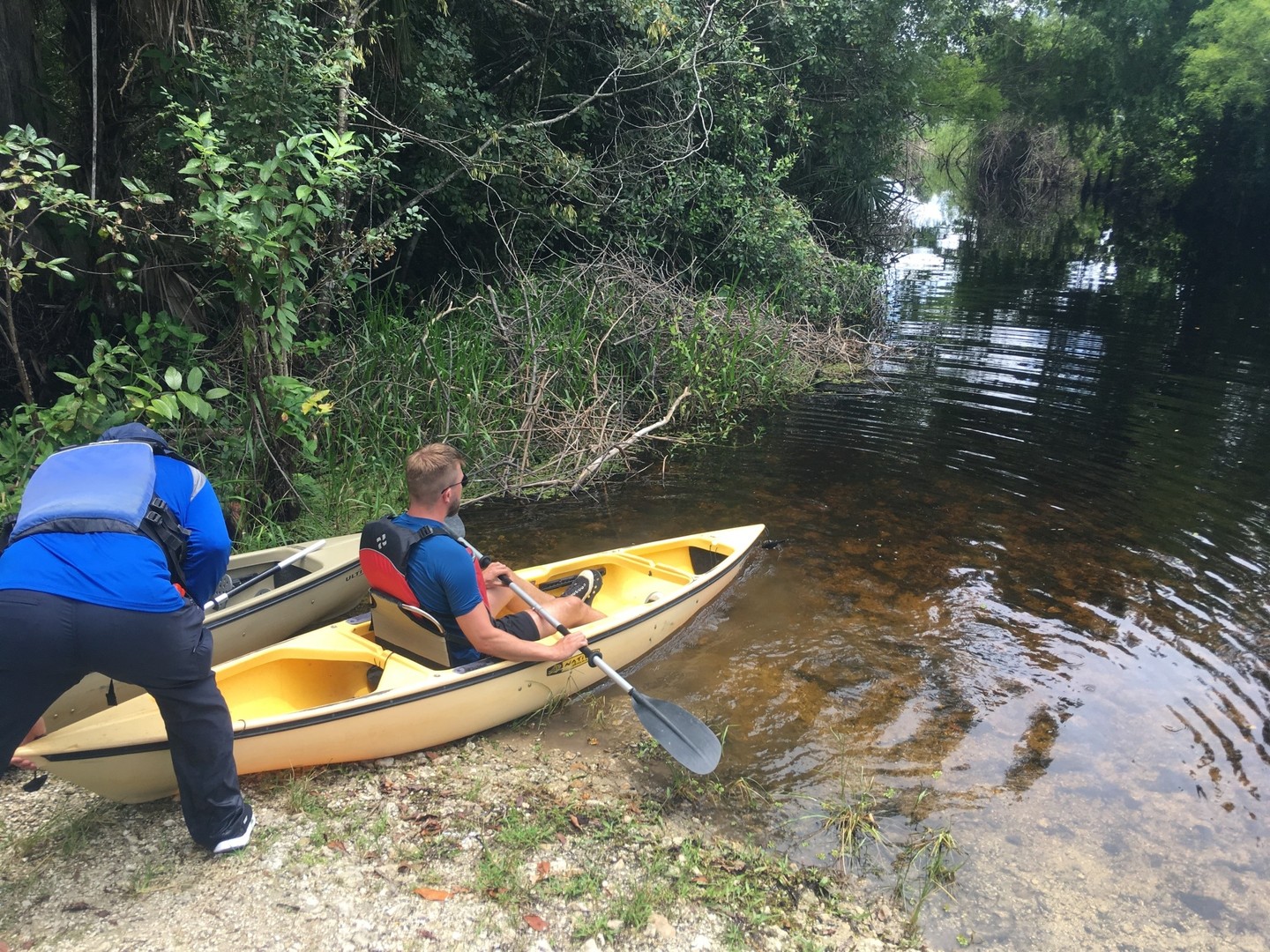 Mangrove Tunnel Tour - Everglades National Park - Florida - Doets Reizen