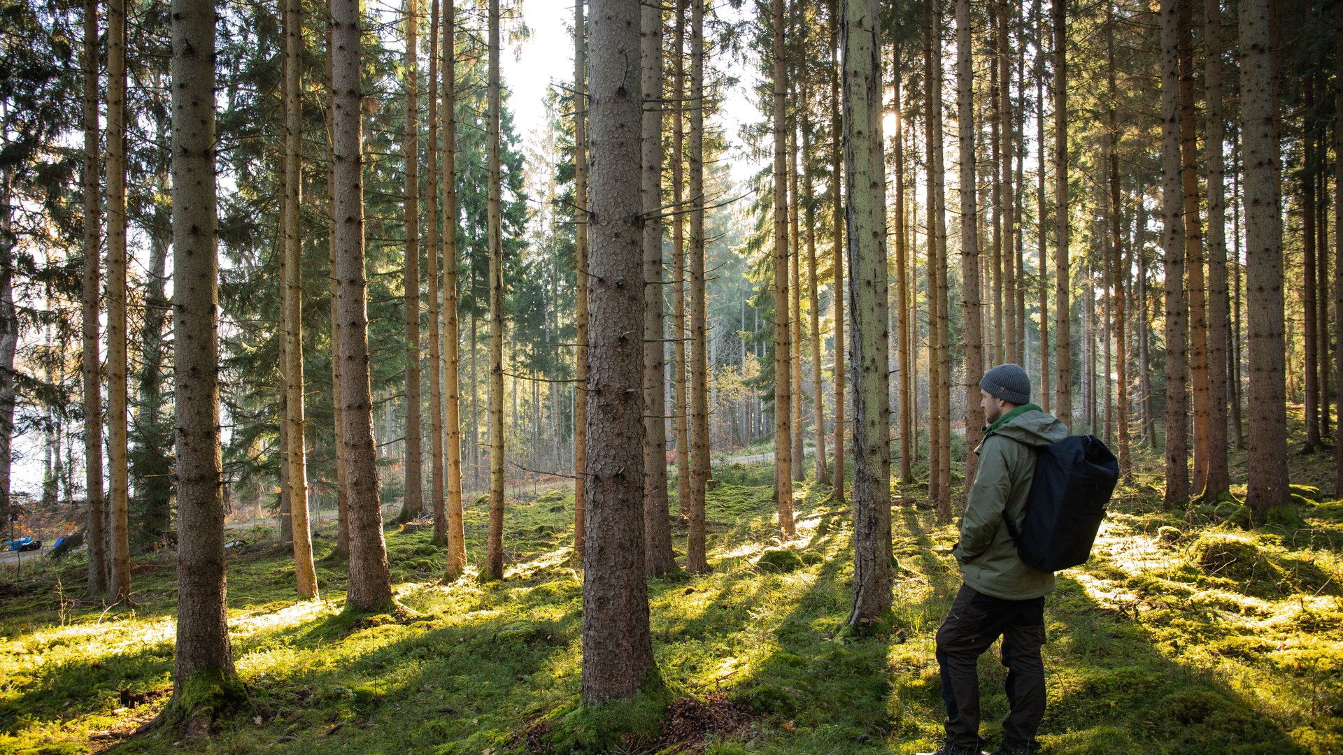 Zweden - Doets Reizen - Vakantie Zweden - Rondreis Zweden