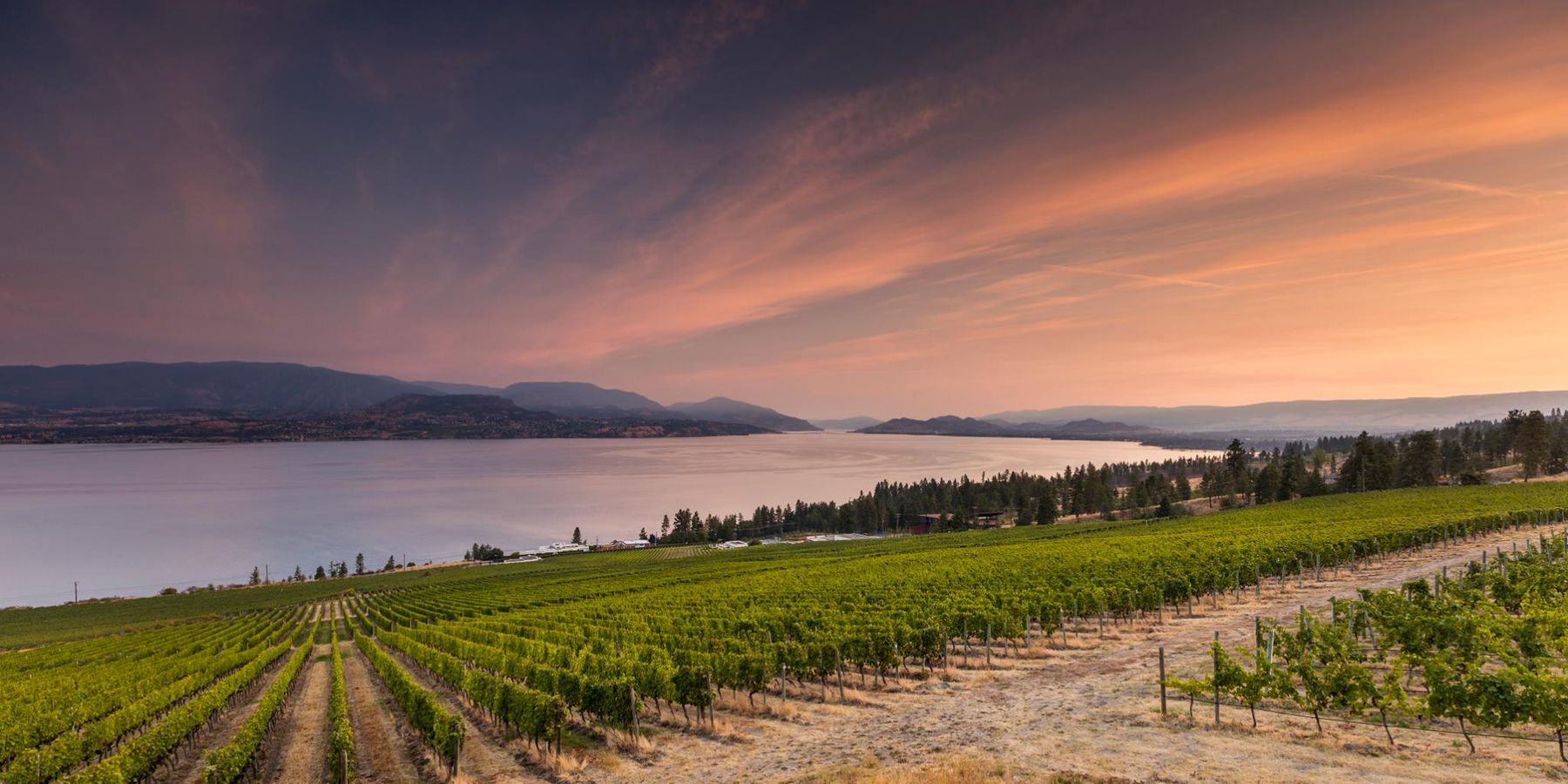 CedarCreek Estate Winery - Kelowna - Okanagan Valley - British Columbia - Canada - Doets Reizen