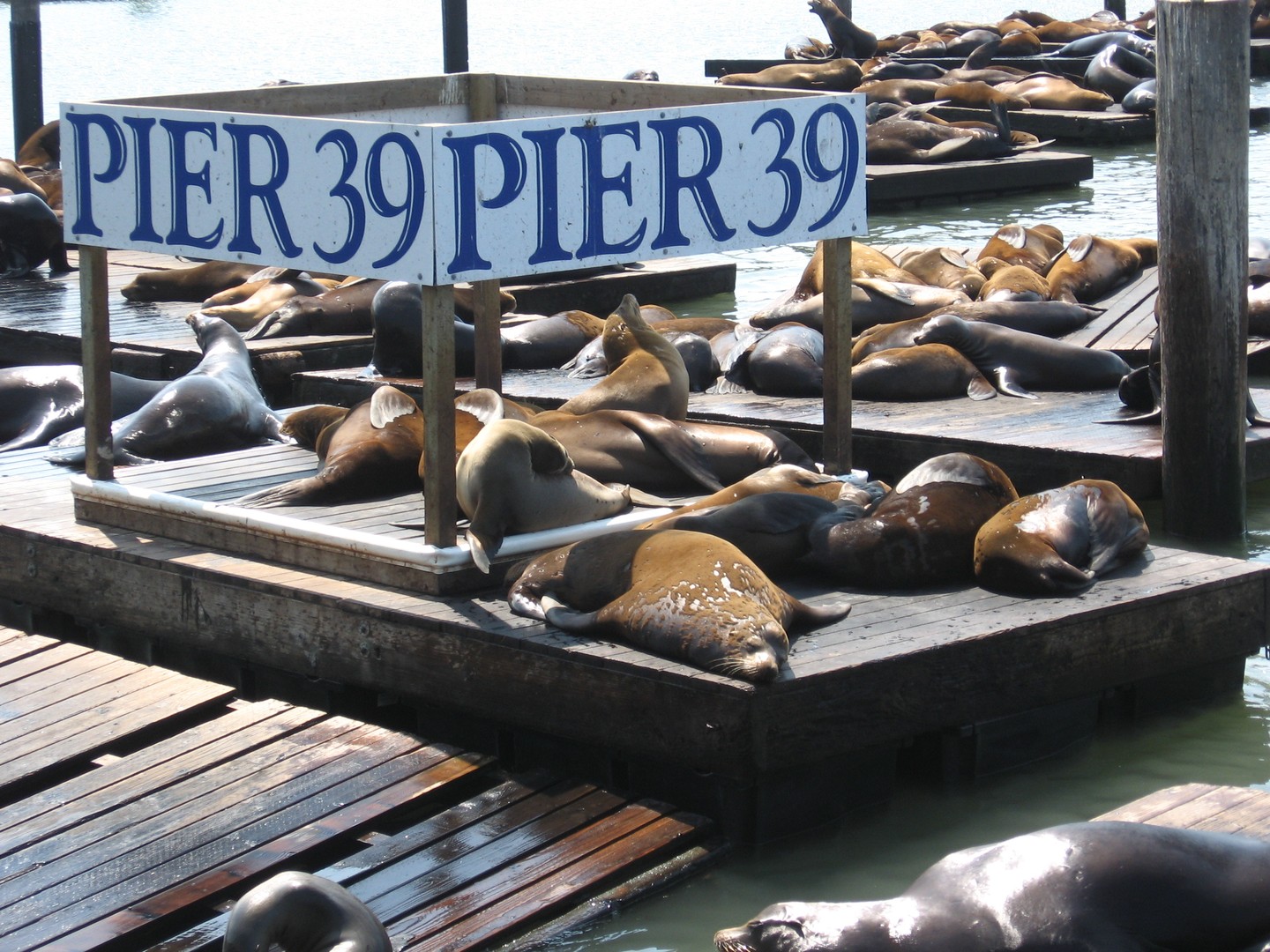 San Francisco - California - Amerika - Doets Reizen