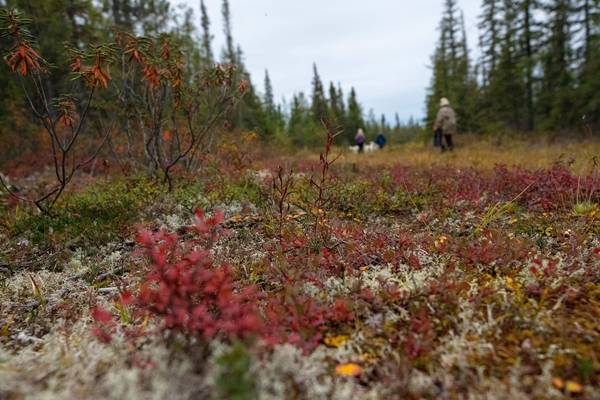 Churchill - Manitoba - Canada - Doets Reizen