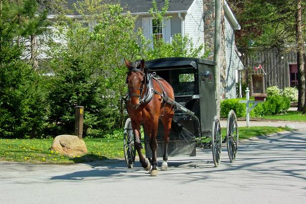 Amish Ontario - Canada - Doets Reizen