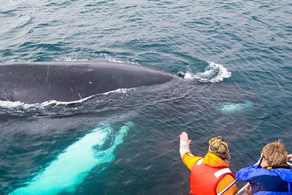 Twillingate - Newfoundland & Labrador - Canada - Doets Reizen