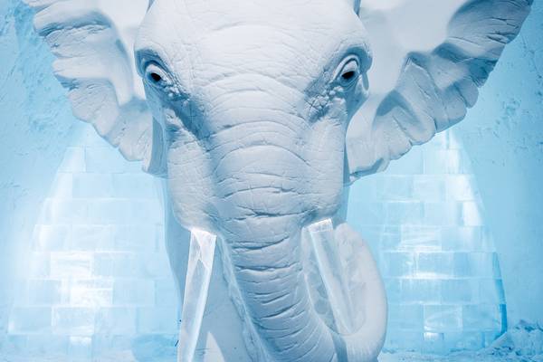 Icehotel 365 - Doets Reizen - Vakantie Zweden - Credit Visit Sweden