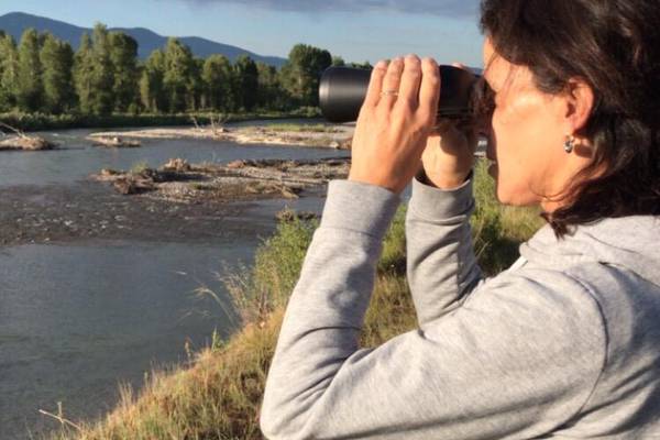 Wildlife Safari - Grand Teton National Park - Wyoming - Doets Reizen