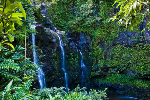 Hana - Maui - Hawaii - Doets Reizen