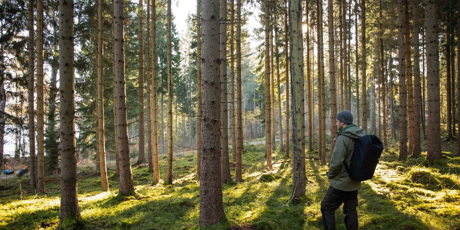 Zweden - Doets Reizen - Vakantie Zweden - Rondreis Zweden