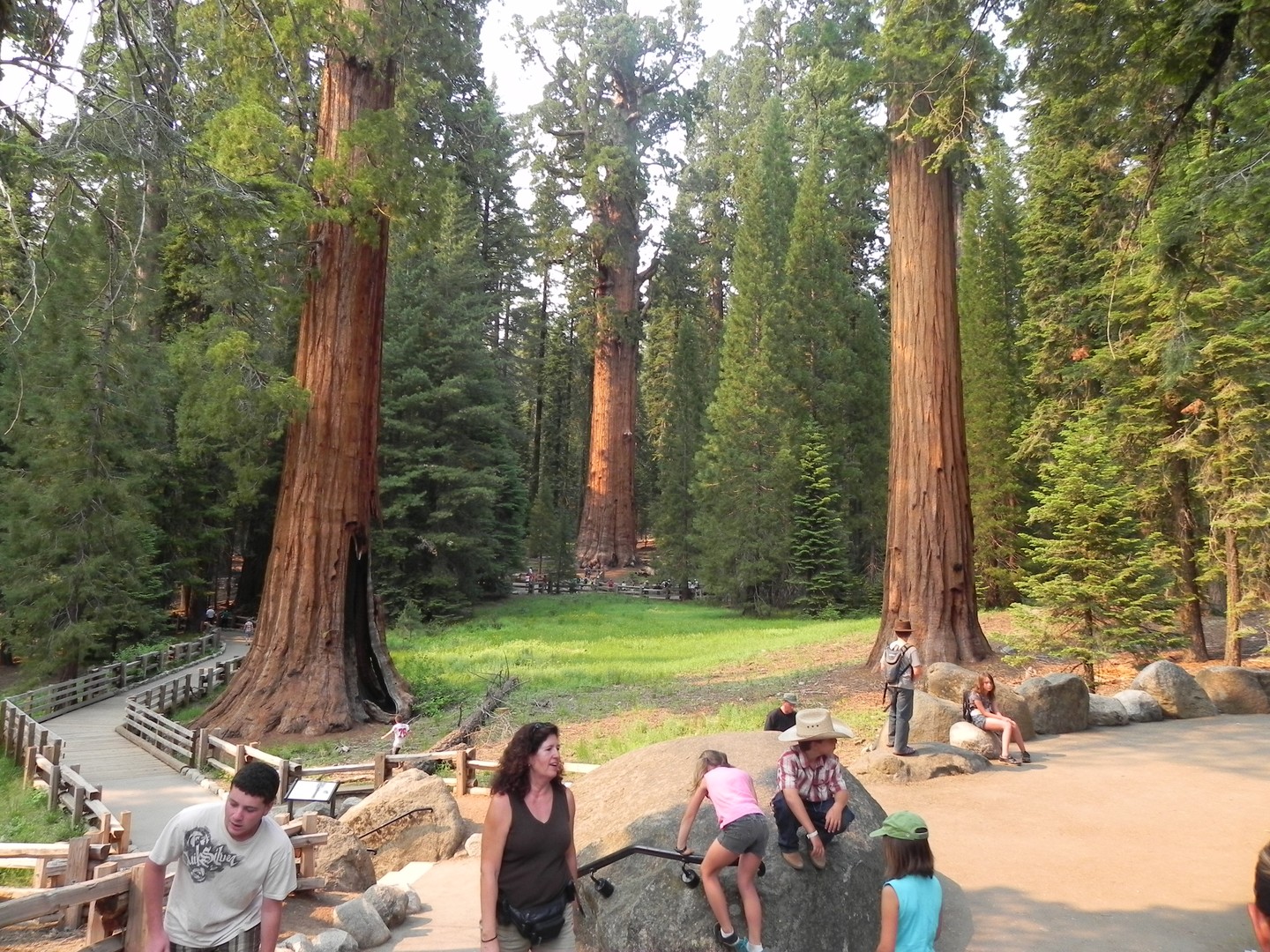 Sequoia National Park - California - Amerika - Doets Reizen