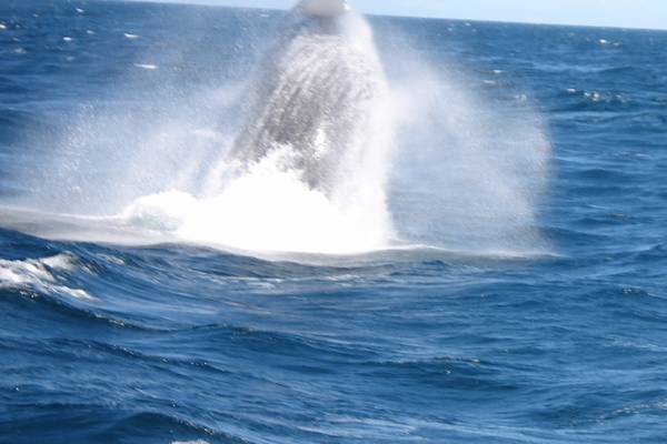 Cape Cod - Massachusetts - Doets Reizen