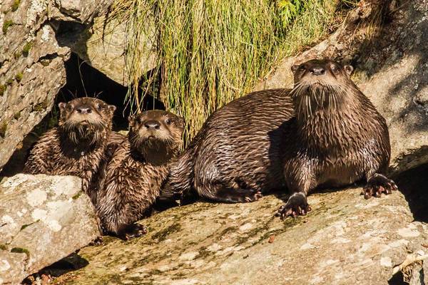 Katmai Wilderness Lodge - Vakantie Alaska - Doets Reizen - Credits to All Alaska Tours and Katmai Wilderness Lodge