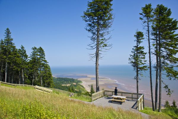 Bay of Fundy National Park - New Brunswick - Canada - Doets Reizen