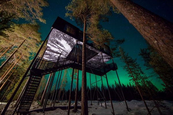 Treehotel in Zweden - Vakantie Zweden - Doets Reizen