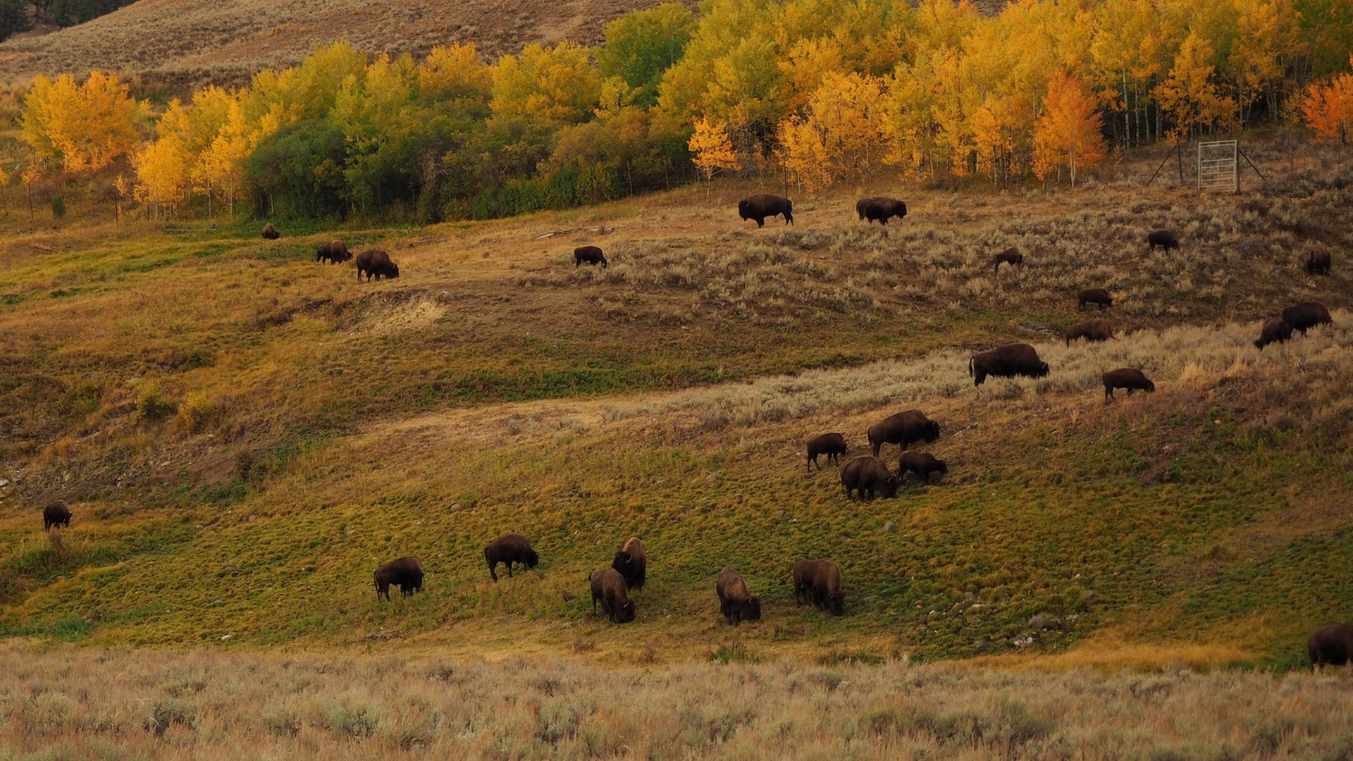 Sfeer - Texas - Amerika - Doets Reizen