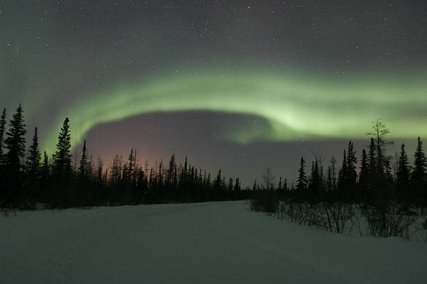 Noorderlicht Churchill - Manitoba - Canada - Doets Reizen