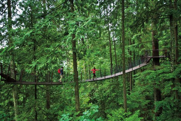 Capilano Suspenion Bridge - Vancouver - British Columbia - Canada - Doets Reizen
