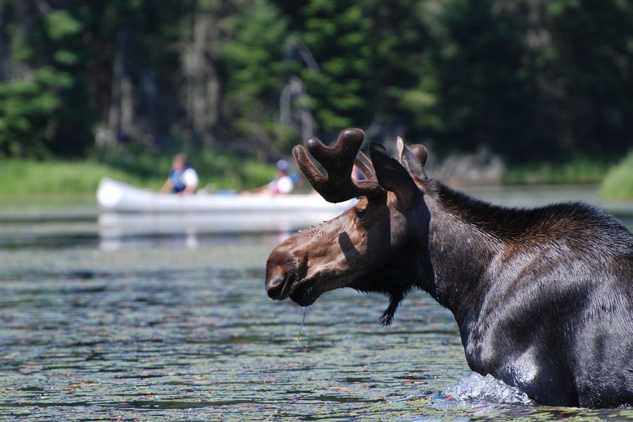 Ontario - Canada - Doets Reizen