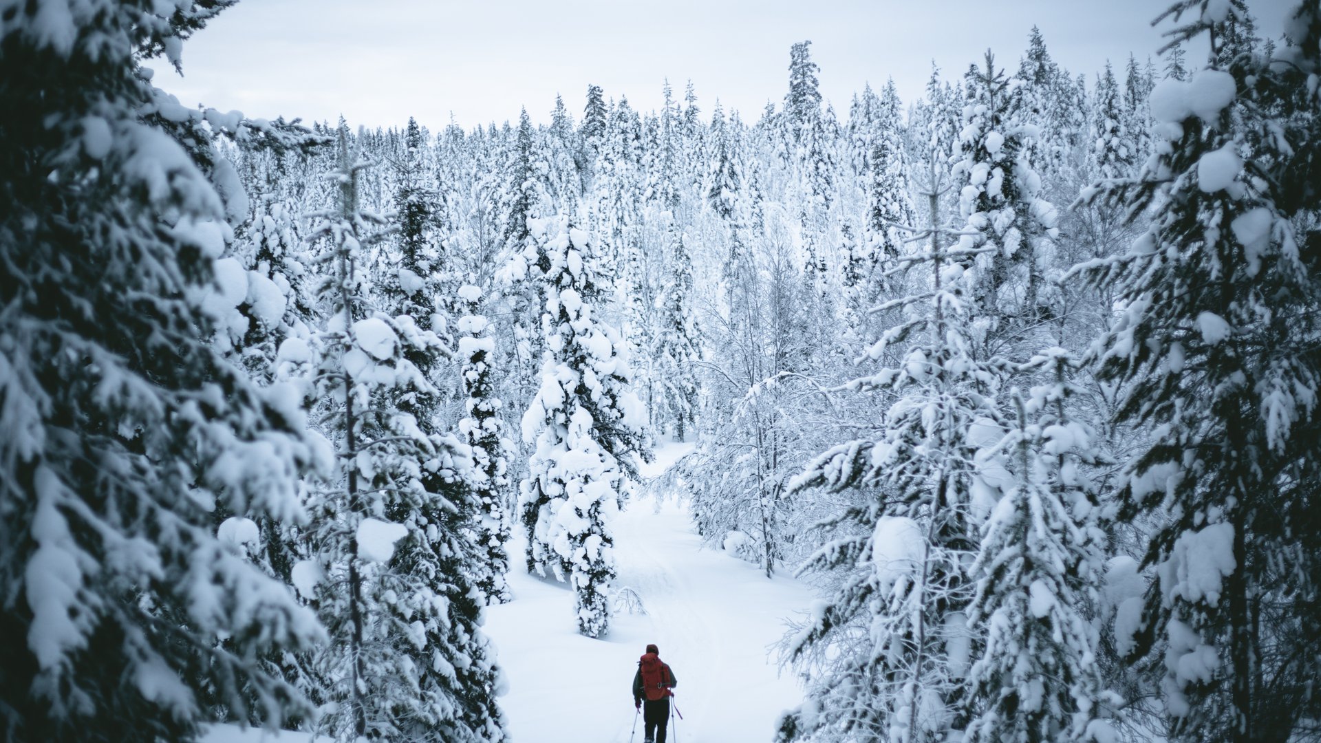 Fins Lapland Winter - Doets Reizen - Vakantie Finsland - Credits VisitLapland