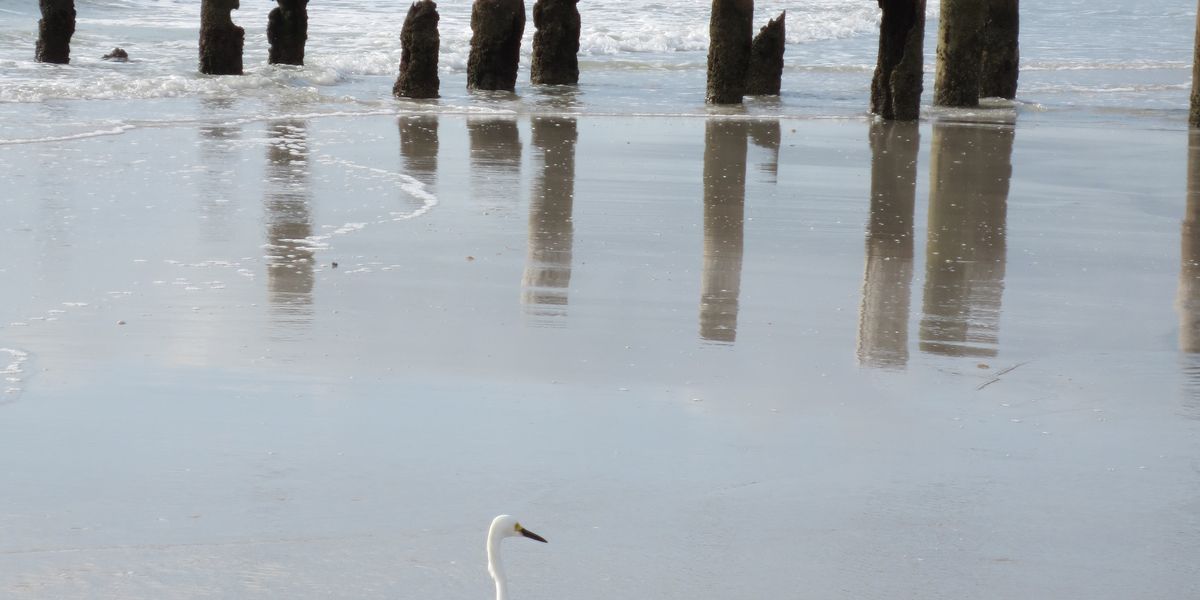 Naples - Florida - Doets Reizen