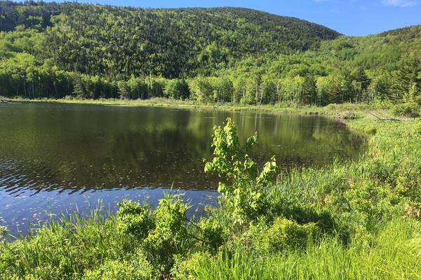 Acadia National Park - Maine - Amerika - Doets Reizen