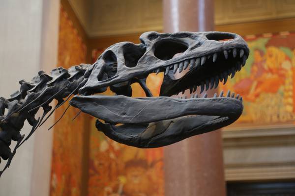 Museum - New York - Doets Reizen