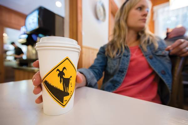 BC Ferries - British Columbia - Canada - Doets Reizen