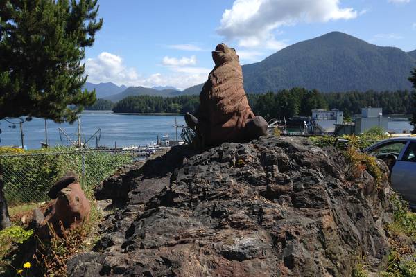 Pacific Rim National Park Tofino