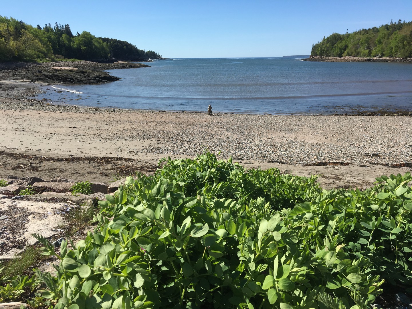 Acadia National Park - Maine - Amerika - Doets Reizen