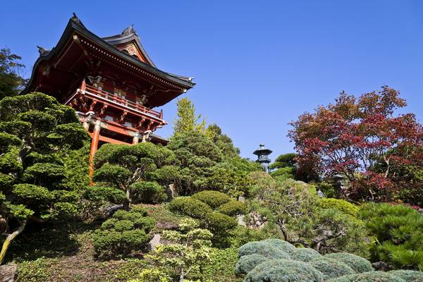 Golden Gate Park - San Francisco - California - Amerika - Doets Reizen