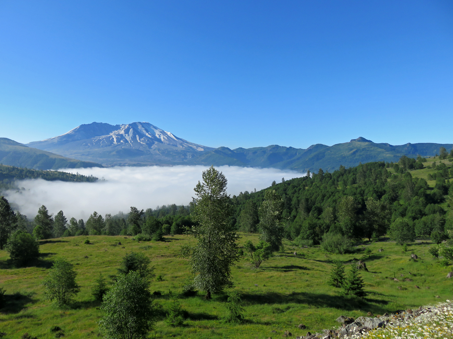 Mount St. Helens National Volcanic Monument - Washington State - Doets Reizen