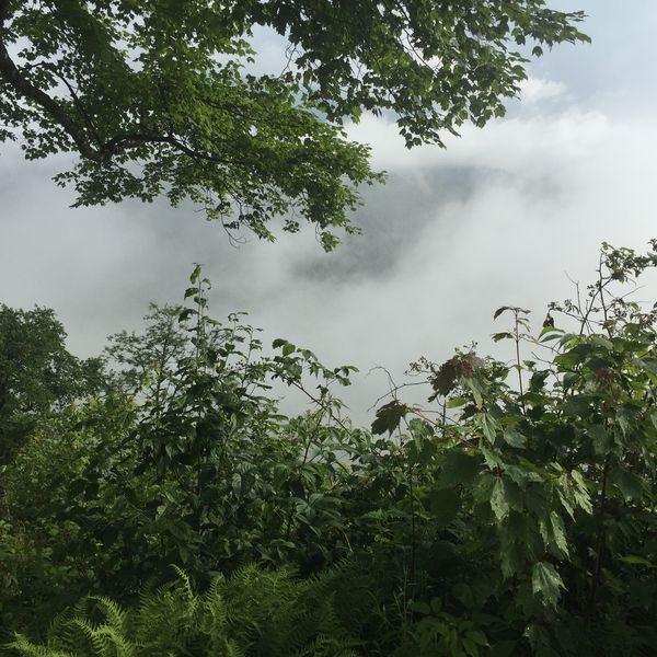 Great Smokey Mountains National Park - Tennessee - Amerika - Doets Reizen