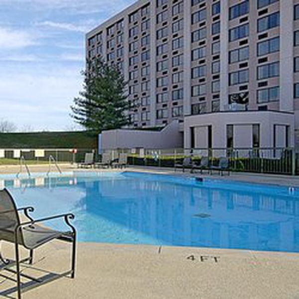 Millennium Maxwell Hotel - pool
