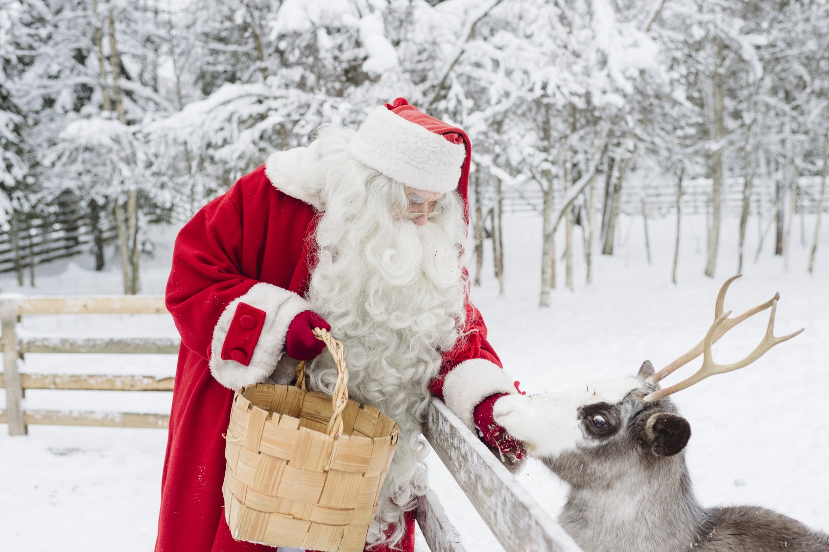 Santa Claus en rendier - Rovaniemi - Lapland - Finland - credits Visit Rovaniemi