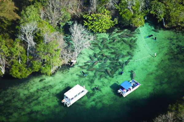 Crystal River - Florida - Doets Reizen