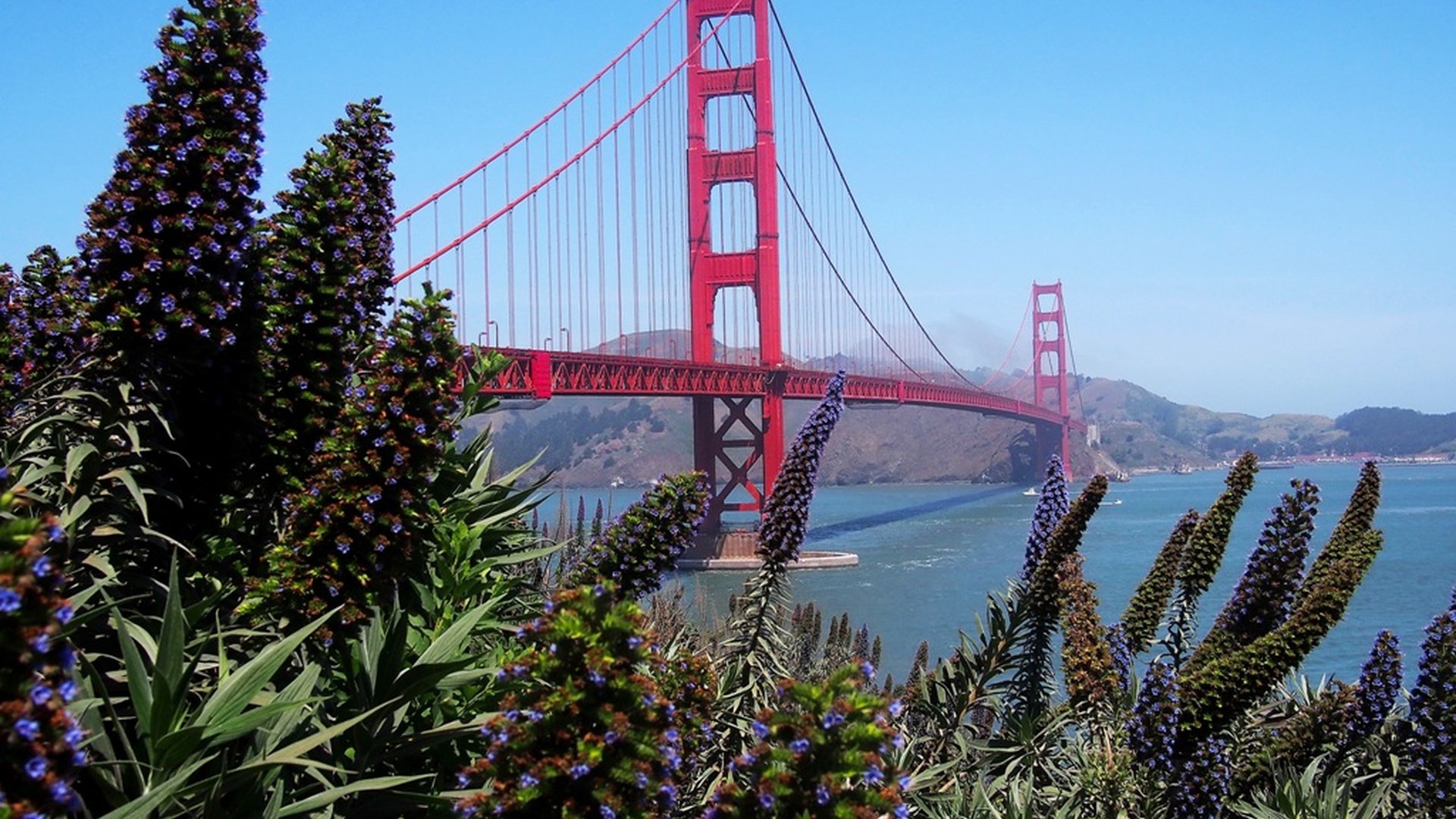 San Francisco - California - Amerika - Doets Reizen