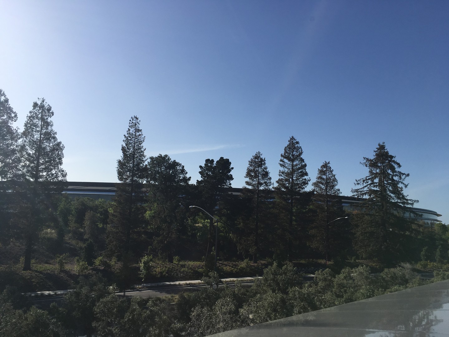 Apple Park - Silicon Valley - California - Amerika - Doets Reizen