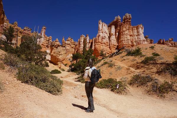 Bryce Canyon National Park - Utah - Vakantie West Amerika - Doets Reizen (42)