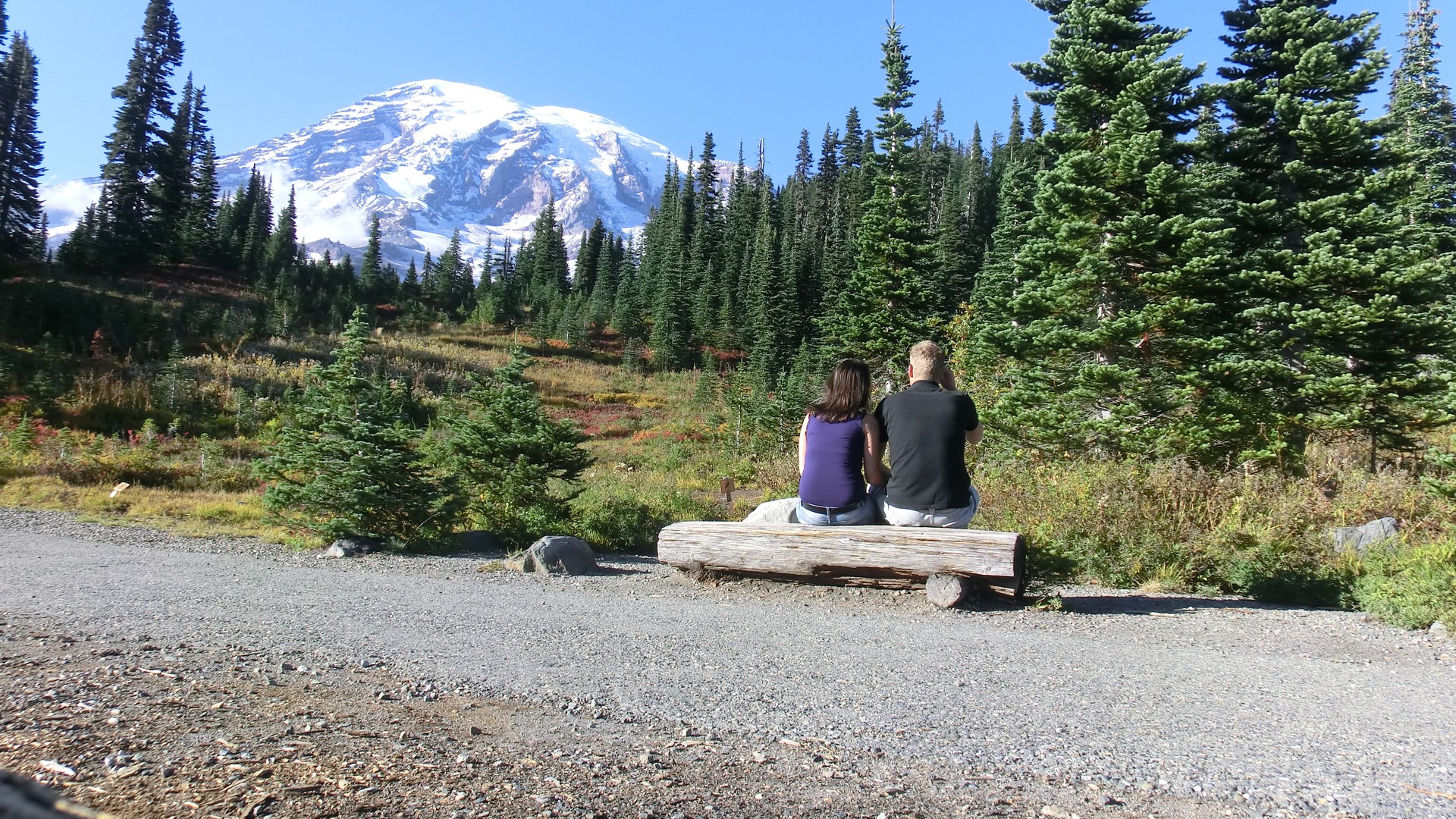 Mount Rainier National Park - Washington State - Doets Reizen