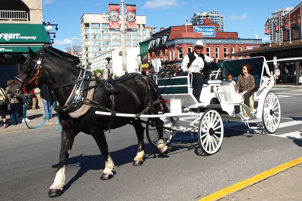 Byward Market - Ottawa - Ontario - Canada - Doets Reizen