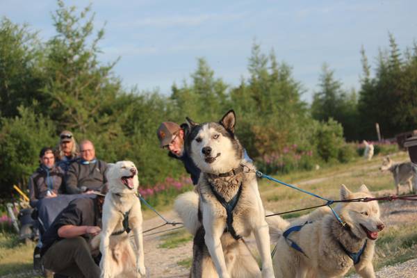 Dog Mushing Churchill - Manitoba - Canada - Doets Reizen