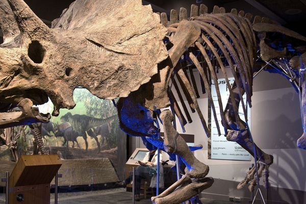 Boston Museum of Science - Boston - Massachusetts - Doets Reizen