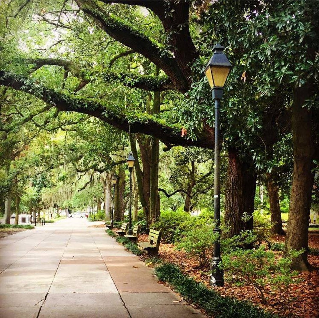 Savannah - Georgia - Amerika - Doets Reizen