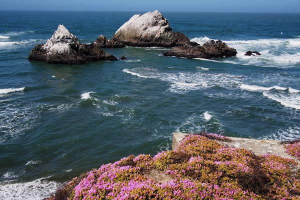 Big Sur - Highway 1 - California - Amerika - Doets Reizen