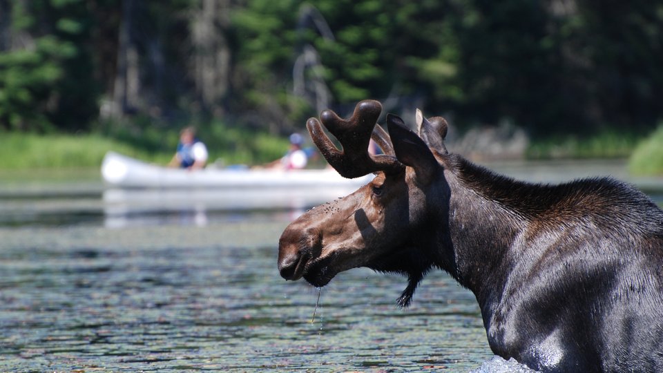 Ontario - Canada - Doets Reizen