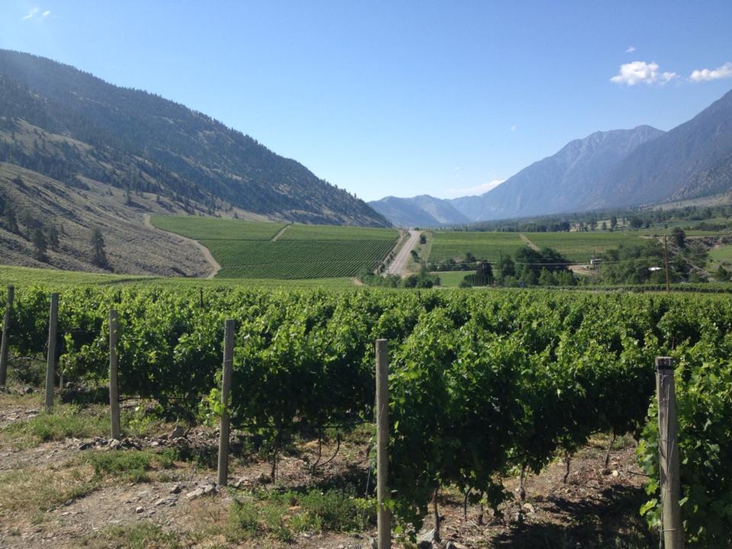 Sandhill Wines - Kelowna - Okanagan Valley - British Columbia - Canada - Doets Reizen