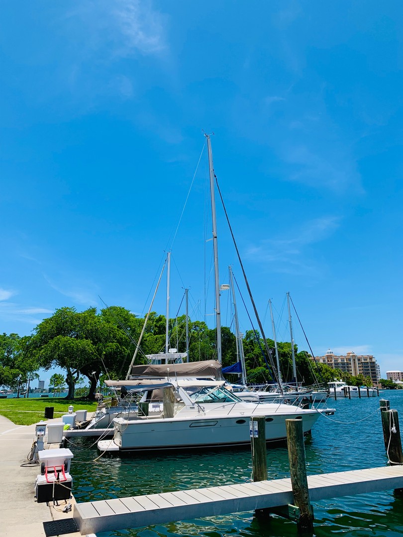 Bayfront Park - Sarasota - Florida - Doets Reizen