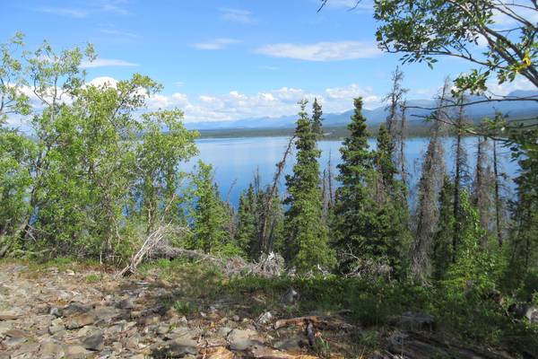 Kluane National Park - Yukona - Canada - Doets Reizen