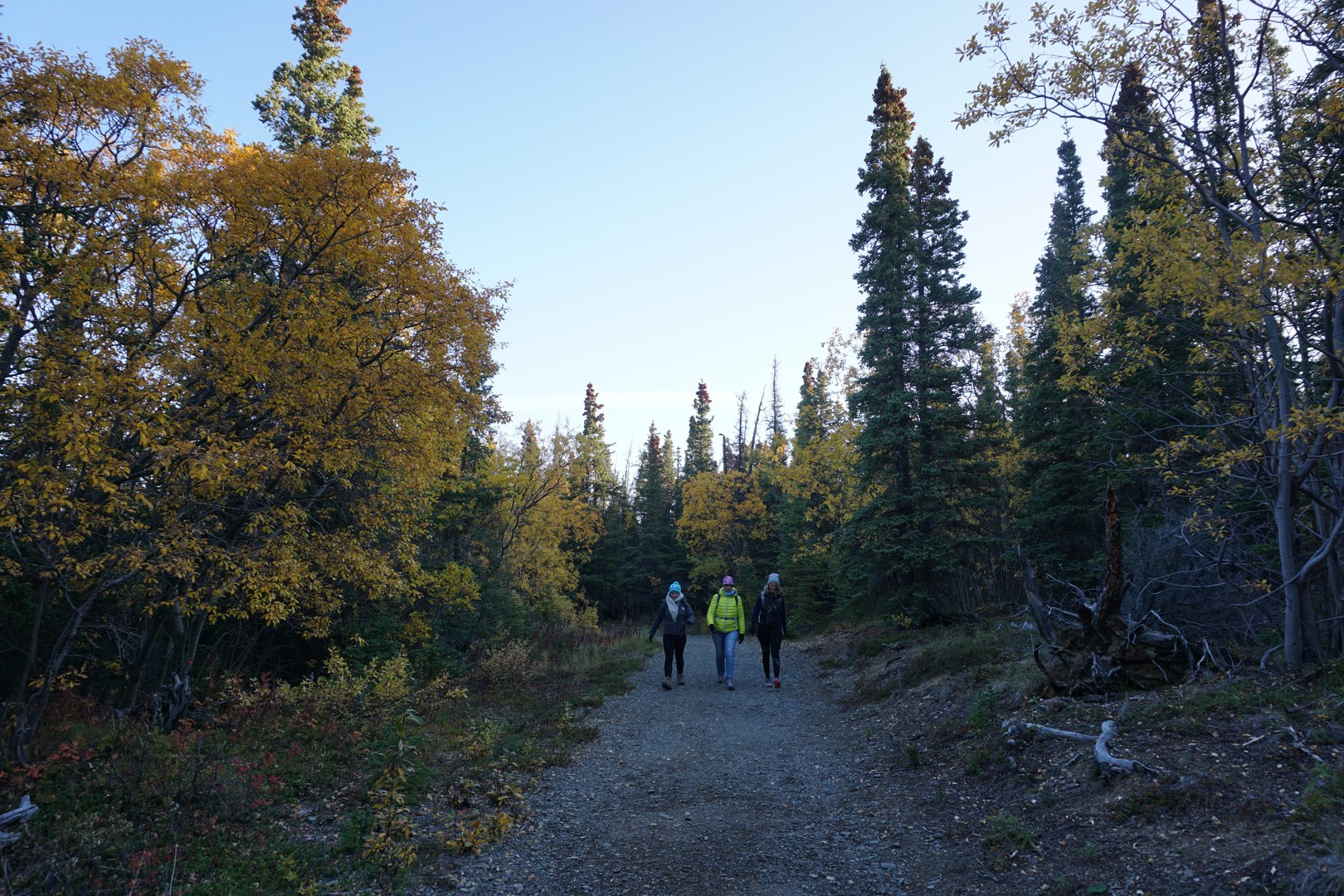 Kathleen Lake - King's Throne Hike - Haines Junction - Yukon - Canada - Doets Reizen