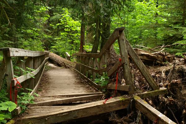 Pacific Rim National Park - Parksville - Vancouver Island - British Columbia - Canada - Doets Reizen