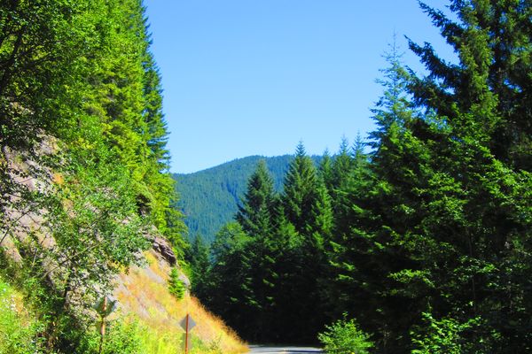 Quinault - Washington State - Doets Reizen